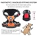 PoyPet No Pull Dog Harness, No Choke Front Clip Dog Reflective Harness, Adjustable Soft Padded Pet Vest with Easy Control Handle for Small to Large Dogs(Orange,M)