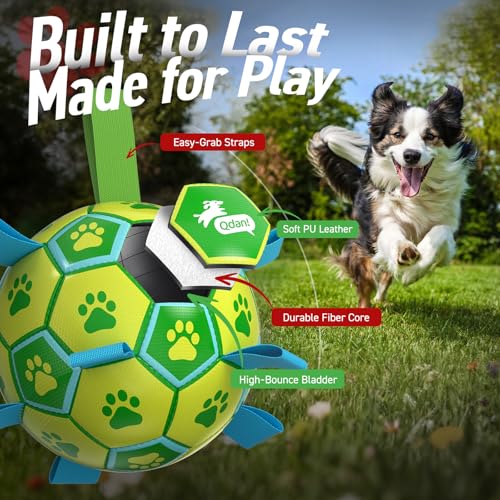 QDAN Dog Toys Soccer Ball - Durable Dog Balls with Strap for Medium Small Dogs, Puppy Birthday Gifts, Dog Tug Toy for Tug of War (8 Inch) — view 5