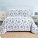 Full/Queen Coastal Quilt Bedding Set, Summer Coastal Quilt with Shams, Beach 3-Piece Reversible All Season Bedspread Quilt Set. Lightweight Nautical Quilted Coverlet. Azure Collection, Blue Seashells