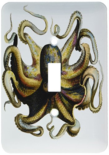 Kraken pieuvre couvercle d'interrupteur pour cacher mur usé - 2