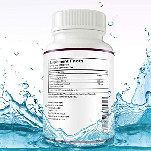 Wiseceutical Max Absorption Vitamin K2 + D3 & Organic Elderberry With Black Currant And Echinacea | Bone Strength & Calcium Absorption | Immune Support #TOP6