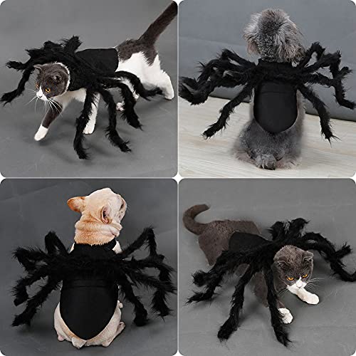 Halloween Haustier Kostüm,Hundekostüm Spinne , Plüsch , Katzen Urlaub Dekoration, Pet Cosplay Party Halloween Special Events für Hunde,