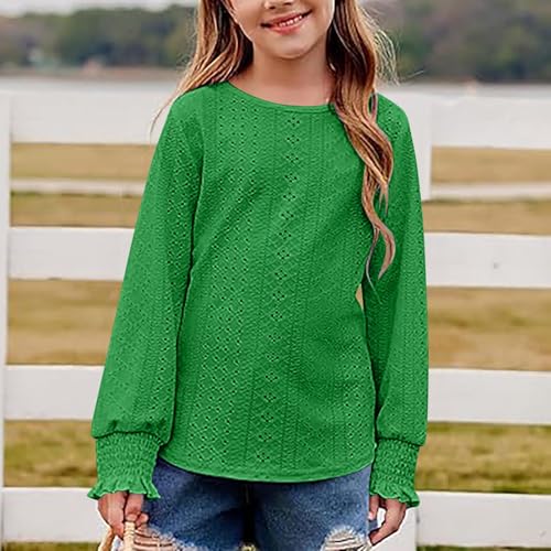 Girls Long Sleeve Eyelet Lace Blouse Casual Crewneck Lightweight Top Soft Shirt for Spring and Fall2