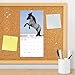2026 Horses Mini Wall Calendar
