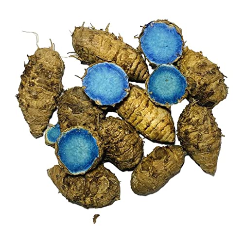 Image of Kali Haldi or Black Turmeric or Narkachur or Narkachoor Raw and Natural (200 gram)