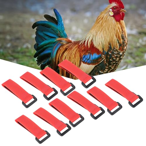 HEEPDD per Polli, Anatre, Oche, Morbide e Durevoli, Forniture per Allevamento di Pollame per Animali Domestici, 20 misure. Forniture per Pollame e Bestiame - immagine 5