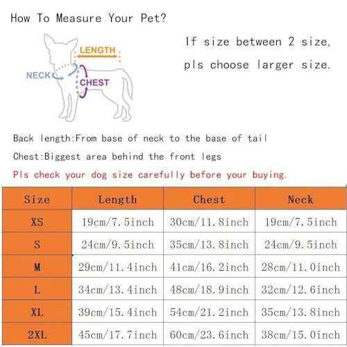 _炩KȃybgWvX[chhLp[J[ybggWPbg,f,XS