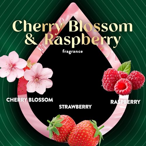 Air Wick Plug-In Scented Oil Refills, Cherry Blossom & Raspberry, Air Fresheners, Essential Oils, 0.67 Fl Oz (Pack of 20) - image 5