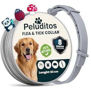 Collar antiparasitario Natural para Perros – protección hasta 8 Meses contra pulgas y garrapatas – 3 Charms de Regalo - Ajustable y Suave con su Piel.