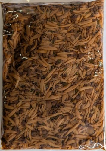 国産 しその実しめじ 佃煮 1000g×15P 業務用 冷凍