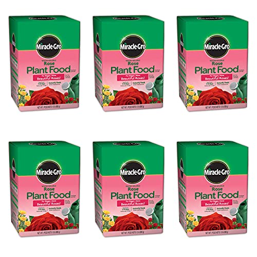 Miracle-Gro Water Soluble Rose Plant Food 1.5 lb. 6-Pack product thumbnail 2