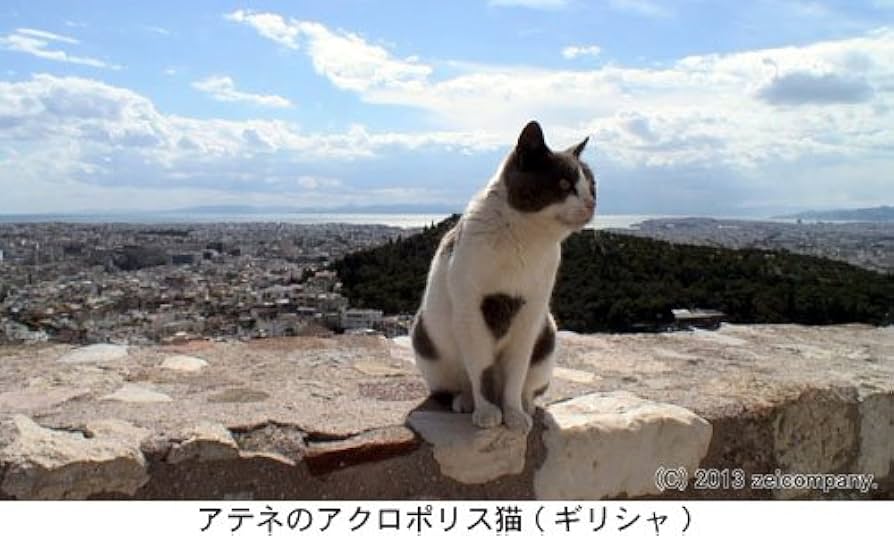 地中海・猫たちのクロニクル(Blu-ray Disc) Amazon.co.jp: 地中海・猫たちのクロニクル(Blu-ray Disc) : DVD