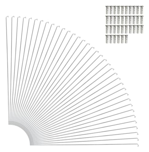 Bicicletas de Montaña Ruedas Anchas Marca MOVDARL