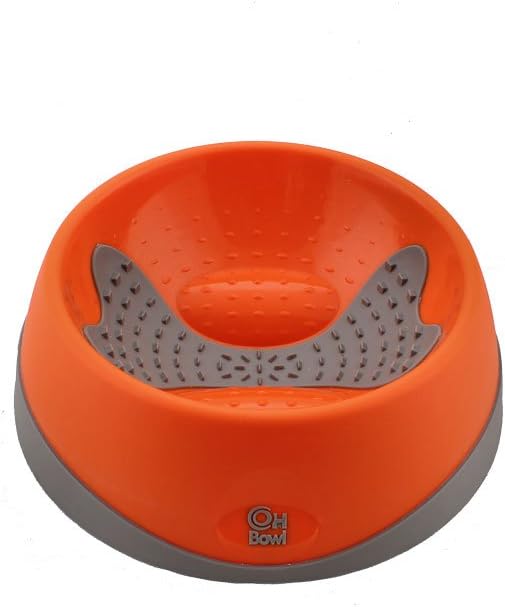 Hyper Pet Oral Health Dog Food Bowl, Large, Green