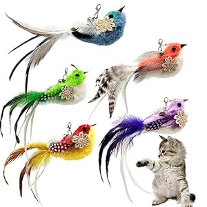 Cat Feather Toys Refill, 5 Pieces Cat Wand Attachments Feathers Bird Toy for Indoor Cats