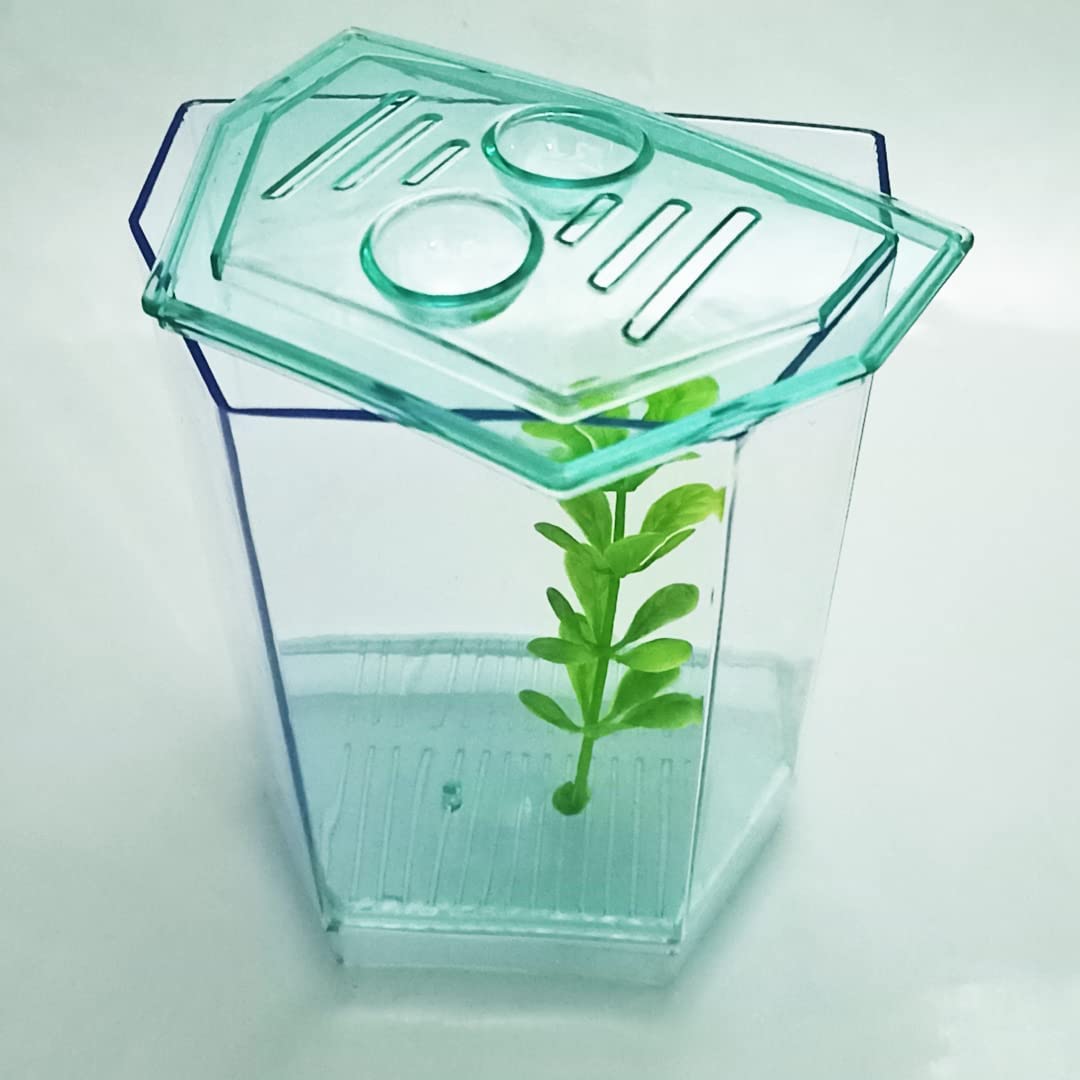 Betta Fighter Fish Tank Mini House Aquarium Bowl (B0D16TV14N) Amazon Price History, Amazon Price Tracker