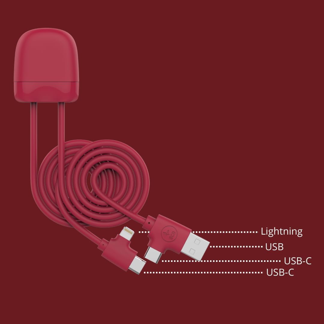 Close-up of Xoopar Multi Cable connectors, labeled as Lightning, USB, and USB-C.