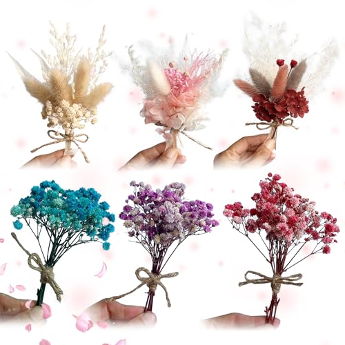 Mini Flores Secas para Manualidades 6 PCS Paquetes de flores secas Flores Naturales Secas Decoración Flores Secas Naturales Flores Secas Manualidades Seca para Scrapbooking Artesanía Decoración Floral
