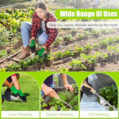 Adiwo 4 Piezas Desherbador Manual, Herramientas de Deshierbe, Acero Inoxidable, Kit Jardinería, Desherbador de Raíces, Mango de Madera, Mango Ergonómico, para Excavar Deshierbar Trasplantar - imagen 8