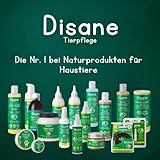 DISANE