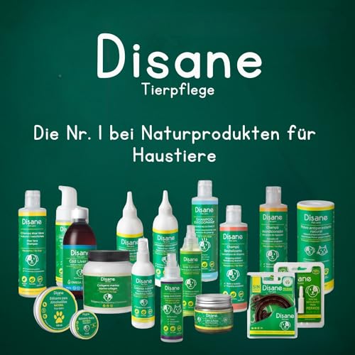 DISANE