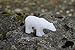 STUDIOSTONE CREATIVE DIY Arts & Crafts Carving Kit Kids Adults Polar Bear Alabaster Sculpture Soapstone