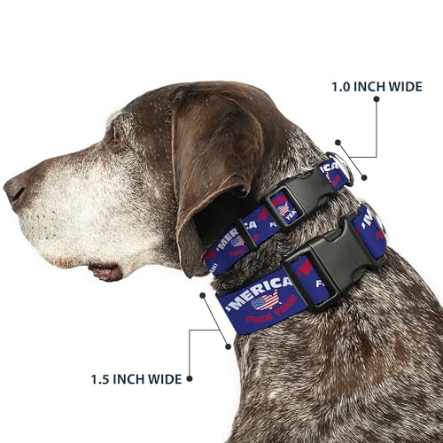 Collar de perro para paseos y adiestramiento en exterior ajustable 3
