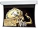 Da-Lite Tensioned Advantage Electrol Projection Screen