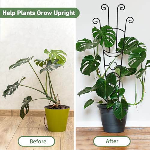 Image of 32.6in Plant Trellis for Climbing Plants Indoor, Expandable Large Metal Trellis for Potted Plants, Heavy-Duty Tall Pothos Plant Climber Support for Ivy Pothos Hoya Monstera, 4P