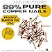 1 Inch Copper Nails Roofing Finish 100 Nails - Solid Pure Copper Slate Spikes Flashing Furniture Boat - Package Includes 100 pieces of The Highest Quality Nails by Dubbs Hardware