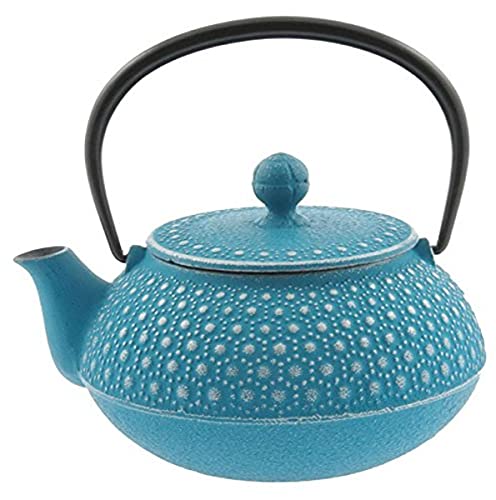 Iwachu Japanese Iron Tetsubin Teapot, Turquoise