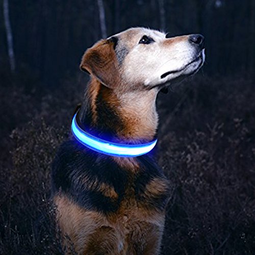 LESYPET LED Hundehalsband Wiederaufladbar - USB Wiederaufladbare Sicherheits LED Haustier Kragen mit Wasserdichtem Blinklicht, Blau, XL Cover