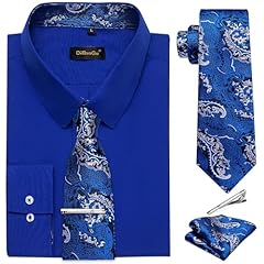 Royal Blue and Silver