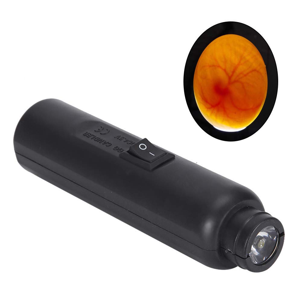 Lampe pour œufs de poule, lampe à dessert pour œufs de poule, lampe à œufs Candler, lampe LED de refroidissement haute intensité, double puissance, testeur d'œufs, lampe à incubation, testeur d'œuf.