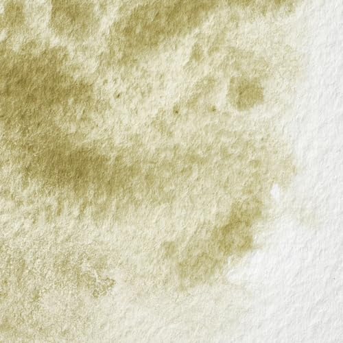 Image of Winsor & Newton Artists' Water Colour Paint 14ml Tube - Terre Verte Yellow Shade