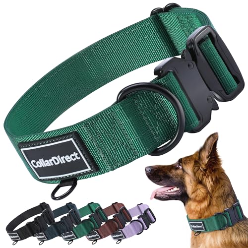 Robustes Hundehalsband für Große & Mittelgroße Hunde – Verstellbar, Doppellagiges Nylon, Metallschnalle, Reißfest & Ideal für Aktive Hunde (Grün, Mittel (36-51 cm))