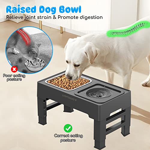 URPOWER 2-in-1 Elevated Dog Bowls 4 Height Adjustable Raised Dog Bowls with No Spill Water Bowl and Stainless Steel Food Bowl Non-Slip Stand for Small Medium Large Dogs