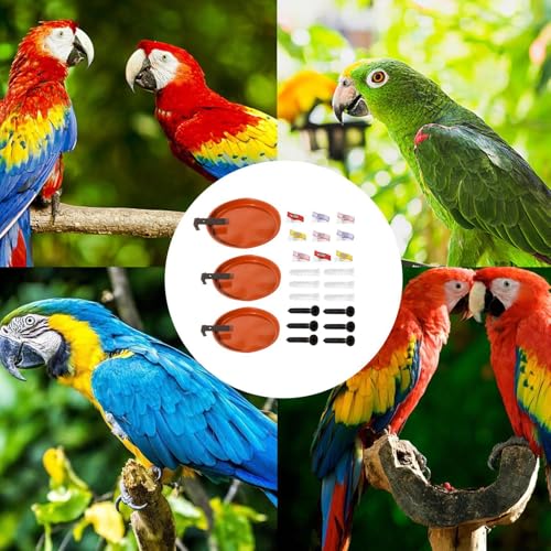 Distributeur pour oiseaux fixé sur clôture à trois coupelles - 6