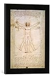 Leonardo Da Vinci/proportions of the Human Figure, c.1492.