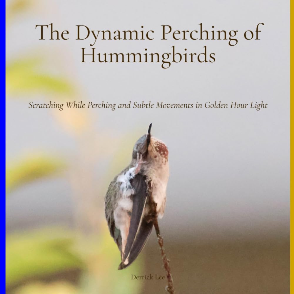 The Dynamic Perching of Hummingbirds: Scratching While Perching and Subtle Movements in Golden Hour Light (Dynamic Hummingbirds)