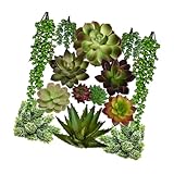 Photo Gallery zunoxaz 14 pezzi piante grasse finte realistiche decorazioni parete verde imitazione e ufficio Photo Gallery zunoxaz 14 pezzi piante grasse finte realistiche decorazioni parete verde imitazione e ufficio