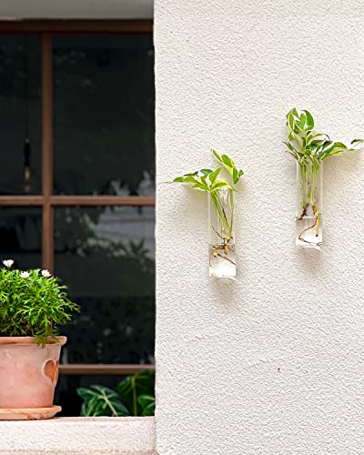Ivolador 4Pcs Wall Hanging Glass Plant Terrarium Container Cylinder Shape Perfect For Propagating Hydroponic Plants Home Office Garden Decor Wedding #TOP1