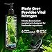 Brightwell Aquatics Shrimp FlorinGrō+ – Nitrate-Based Plant Supplement for Shrimp Aquariums – Supports Growth, Chlorophyll & Vibrant Foliage – Copper-Free, 250 ml