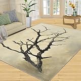 Taille parfaitement polyvalente : Avec ses dimensions compactes de 70 x 140 cm, ce tapis rectangulaire s'intègre facilement à votre quotidien. Profitez d'un pas doux et chaleureux dès le matin en le plaçant près du lit, ou délimitez votre entrée avec style tout en retenant la saleté. La solution idéale pour ajouter du confort aux petits espaces.