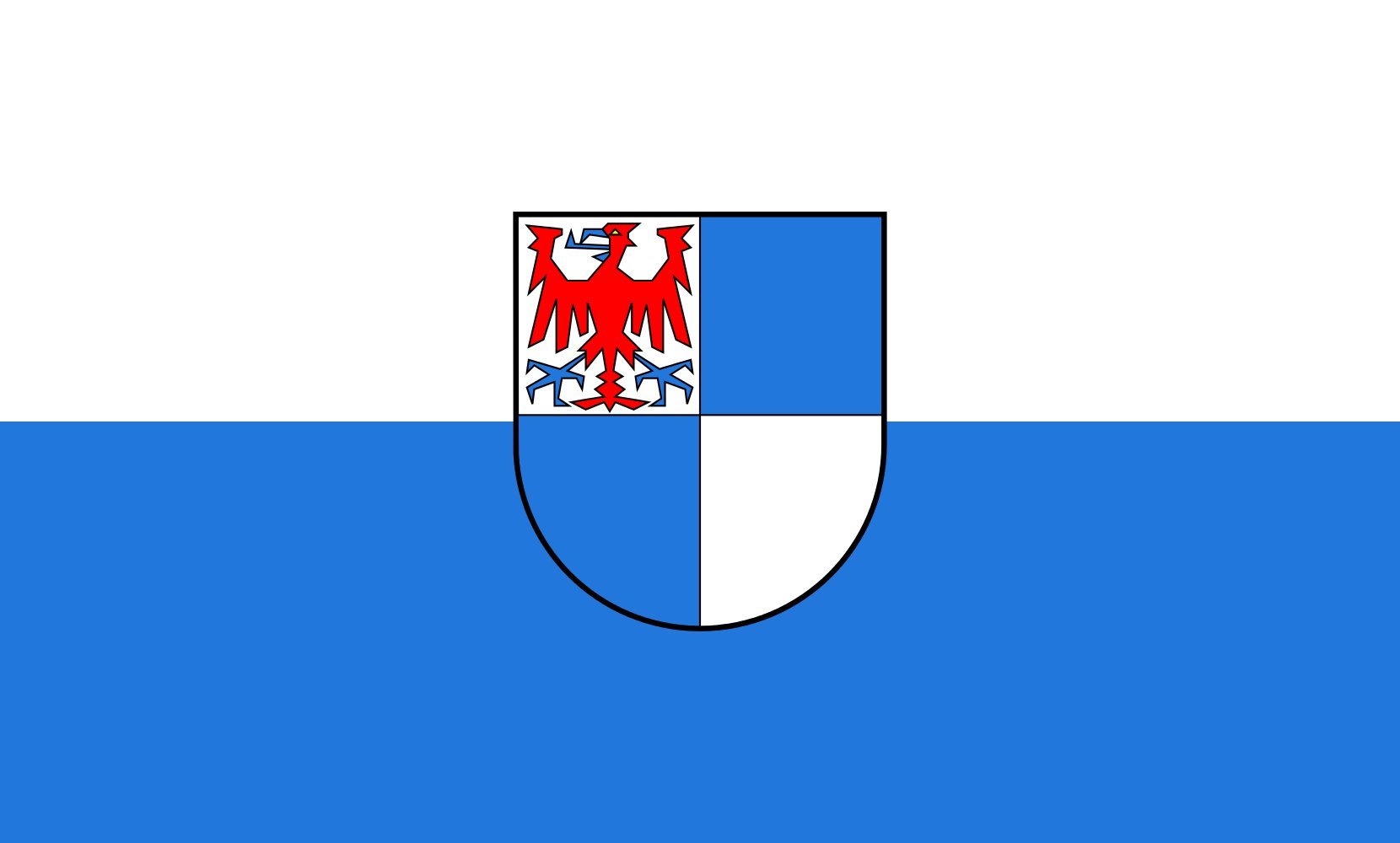 Drapeau paysage Schwarzwald-Baar-Kreis grand format pour mât horizontal