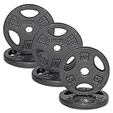 WF Athletic Supply Cast Iron 1-Inch Standard Grip Plate for Strength Training, Muscle Toning, Weight Loss & Crossfit - Multiple Choices Available, Charcoal 50LB SET 1