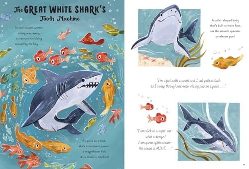 5-Minute Ocean Stories (5-Minute Discovery Stories) - Image 2