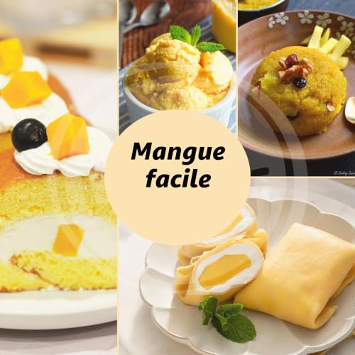 Spicy Welt Poudre de mangue lyophilisée (100g) | 100% mangue moulue – vue 7