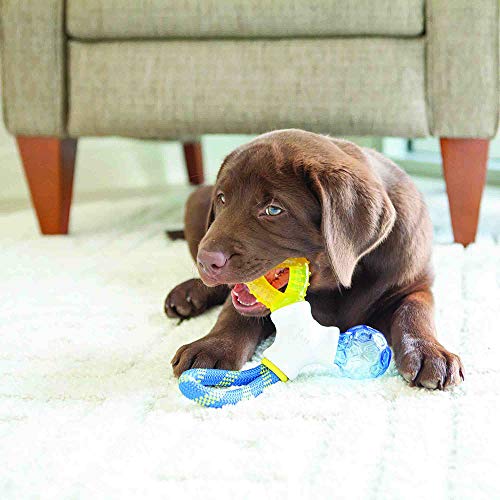 JW Puppy Connects - Image 6