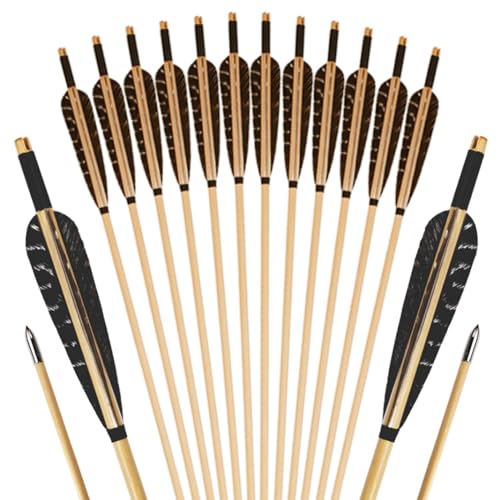 Luoyer 12 Pcs Archery Wooden Arrows with Feathers Handmade Targeting Arrows for Traditional Bow Recurve Bow Longbow for Adults 31inch (Nature)